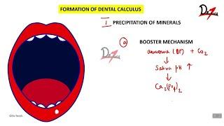 Calculus formation timeline