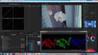 Как настроить баланс белого ! Уроки Adobe Premiero Pro !