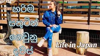 Busy වුනත් සතුටින් ගෙවුන දවස්| life in Japan as a toddler mama ️| Road trip |#srilankaninjapan