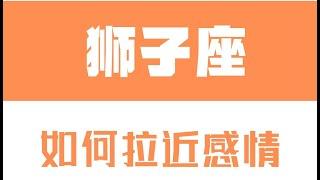 「陶白白」如何拉近跟獅子座的感情：有起伏的感情最容易打動獅子座