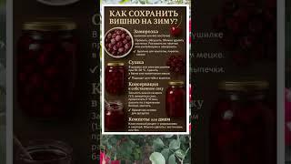 КАК СОХРАНИТЬ ВИШНЮ НА ЗИМУ — 5 ПРОСТЫХ СПОСОБОВ 