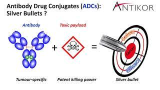 Antikor Biopharma Introduction