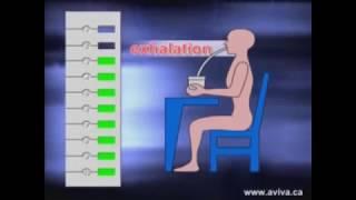 Frolov Breathing Training Device