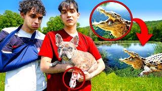 Alligator ATTACKED Our Dog!