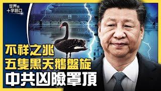 共同富裕中國夢，恐變共同貧窮？五隻黑天鵝盤旋北京，中共不祥凶兆？中南海內鬥火熱，恐釀內戰？極左社會主義復辟，重演文革腥風血雨？（2021.9.7）｜世界的十字路口 唐浩