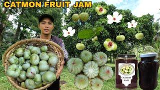 HARVESTING AND COOK CATMON JAM, JELLY FRUITS