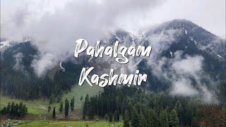 Pahalgam Kashmir | India | Kashmir