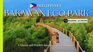 The Secret Mangroves of Bauang, La Union: Bakawan Eco Park Philippines Travel Guide