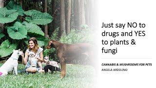 Plant & Mushroom Medicine for Pets, by Angela Ardolino