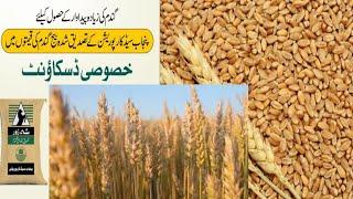 Wheat Sowing | Wheat Seed rate | Kisan Ki Baat | Wheat Sowing 2024_25 |Agriculture Farming in Punjab