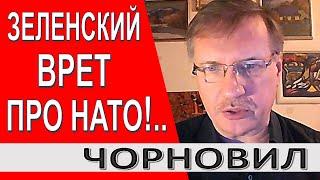 Зеленский САМ завалил сотрудничество с НАТО.. Все подробности... // Тарас Чорновил / АннексияНЕТ