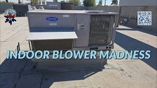INDOOR BLOWER MADNESS