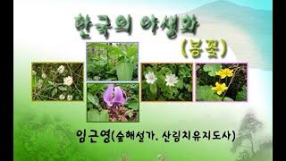 한국의 야생화(봄꽃).