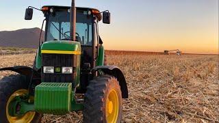 Trabajando con el 6603 de John Deere rastreando cabeceras , Trilla de maíz