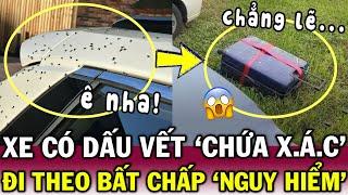 Phát hiện nghìn CON RUỒI bu kín xe phía trước, người phụ nữ tò mò BÁM SÁT - CĐM nín thở | Tin Độc Lạ
