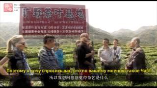 Беседы о чае с Ли Боюнем. Часть 1.