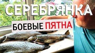 Речная КУМЖА. Вываживание фрикционом | Рыбалка на Кольском