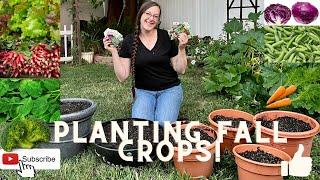 Planting Fall Crops In Containers!!!