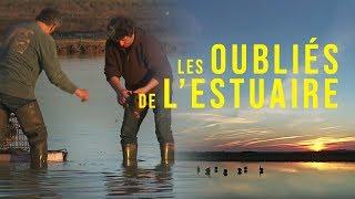 Médoc : Les oubliés de l’estuaire