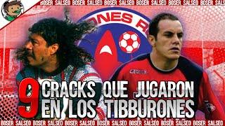 9 Verdaderos CRACKS que Jugaron en los Tiburones Rojos del Veracruz, Boser