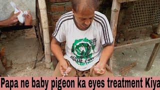 dharmpura pigeon club #pigeon #lahorepakistan eyes treatment