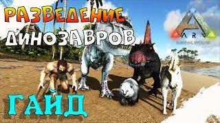 Разведение динозавров в ARK: Survival Evolved. Подробный гайд арк