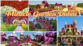 Miracle Garden Dubai || Guinness Book record Garden  detailed video|| #viralvideos#miraclegarden #yt