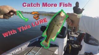 HOW to CATCH 50+ Fish Right NOW (Fishing Bartlett Lake AZ)