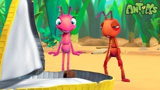 Choco Coin | 1 Hour Antiks Full Episodes | Funny Insect Cartoons for Kids