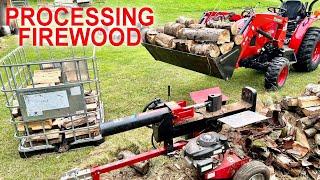 Making Firewood | Cutting Splitting Stacking Tractor time with Branson TYM Tractors Firewood Process