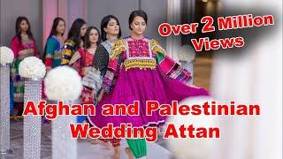 Afghan and Palestinian Wedding Attan Performance