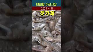 살아있는 쏙 갯가재의 놀라운 세계를 경험하세요!