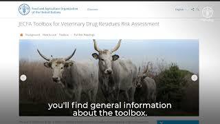 JECFA Toolbox for Veterinary Drug Residues Risk Assessment