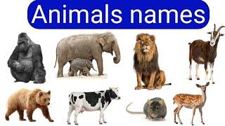 Animals names in Telugu & English, English to Telugu animals names.