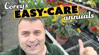 Corey's Favorite Easy Care, High Impact Annual Flowers and Plants