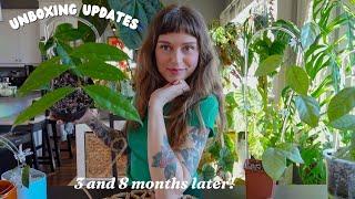 updates on plants i unboxed in 2024  the good, the bad, & the no longer with us 