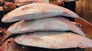 2 Kg Big Hilsa/Ilish Fish Cutting In Bangladesh Fish Market | Fish Cutting Skills