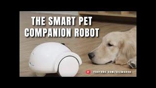 Smart Companion Robot for Pets #Shorts