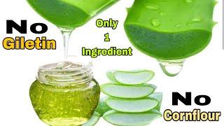 बाज़ार जैसा Aloevera Gel घर पे बनाने का इतना आसान तरीका आपने कभी नही देखा होगा | Aloevera Gel Making