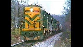 Geeps, Zebras and Classic Central Vermont