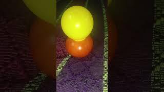 Bulby Tomato |#shorts #shortvideo#tomato #trendingshorts#trending #shortsfeed#viralvideo#bulb#yt