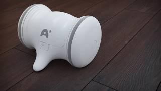 VARRAM PET FITNESS ROBOT | Technical