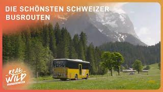 Schweizer Reise: Abenteuer mit dem Postauto | Real Wild Deutschland