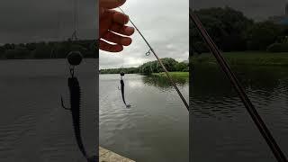 Коротко О Новом Спиннинге Для Микроджига #fishing #рыбалка