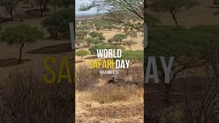 #worldsafariday #safariexperience #tanzania #tanzaniasafari