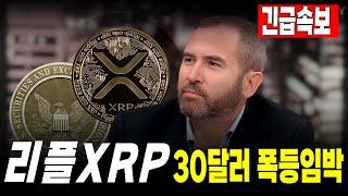 [리플 전망] 리플 30달러 폭등임박 #긴급속보 #리플 #XRP #SEC #리플소송 #코인의대가 #갈링하우스 #RLUSD #리플스테이블코인