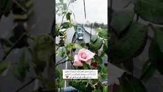 القارئ إسلام صبحي - من سورة يس - تلاوة خاشعة ومؤثرة