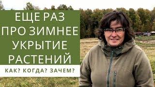 Ещё раз про зимнее укрытие растений  /Наталья Самойленко/