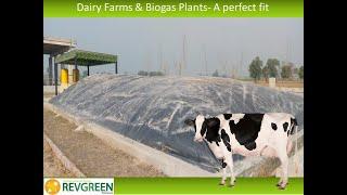 200 Cubic Meters Dairy Biogas Plant-Bedian Lahore