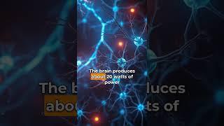 The Power of the Human Brain: Electrifying Brain - Unveiling Neural Wonders